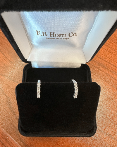 Earrings donated by EB Horn