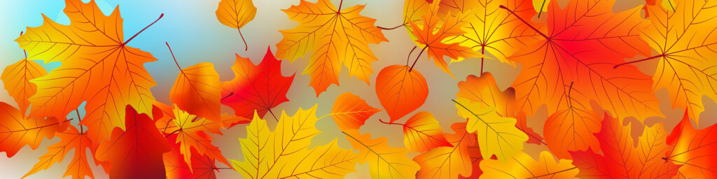 image of fall leaves