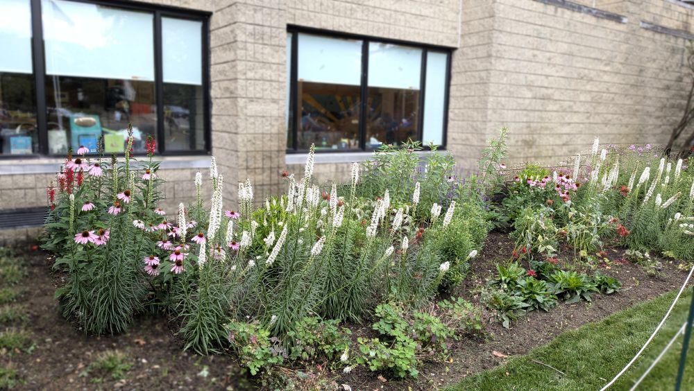 Pollinator Garden at the J