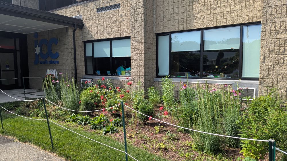 Pollinator Garden at the J