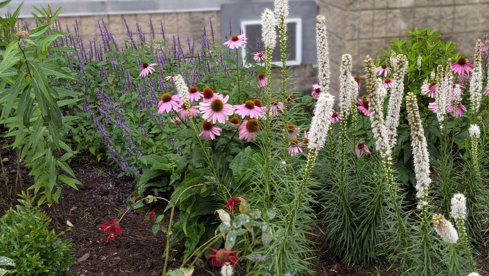 Garden_20260729_01_web2