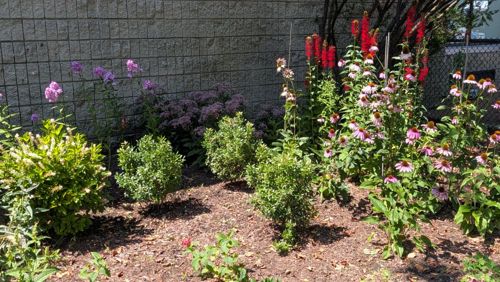 Garden_20260807_02_web