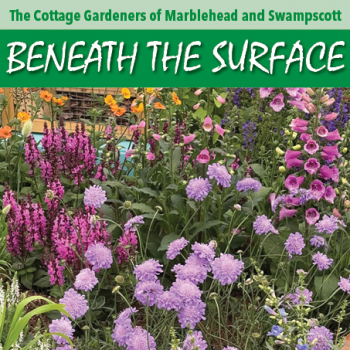 Cottage Gardeners Beneath the Surface