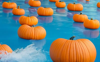 Pumpkins floating in a pool