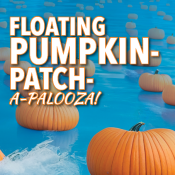Pumpkin Patch-a-Palooza-Eblast sq