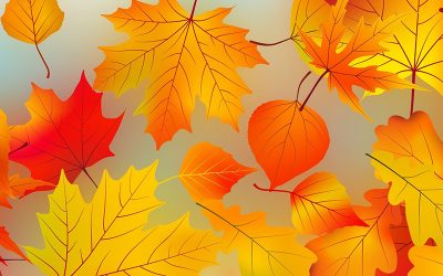 image of fall leaves